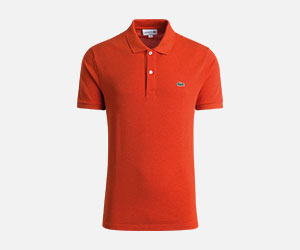 Autres offres de la marque Lacoste 190418_Angebote_300x250px_05.jpg