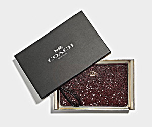 Additional offers from the brand Coach 1811_Coach_Angebote_300x250px_01.jpg