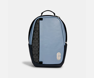 브랜드의 추가 제공 사항 Coach 200706-coach-angebote-300x250px-5.jpg